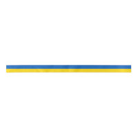 Ukrainian flag
