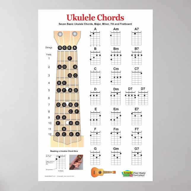  Ukulele Chord Chart and Fretboard Practice Poster (Front)
