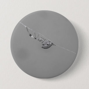 Uloborus 7.5 Cm Round Badge