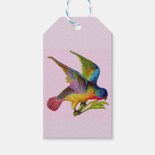 ultra colourful Victorian bird print Gift Tags