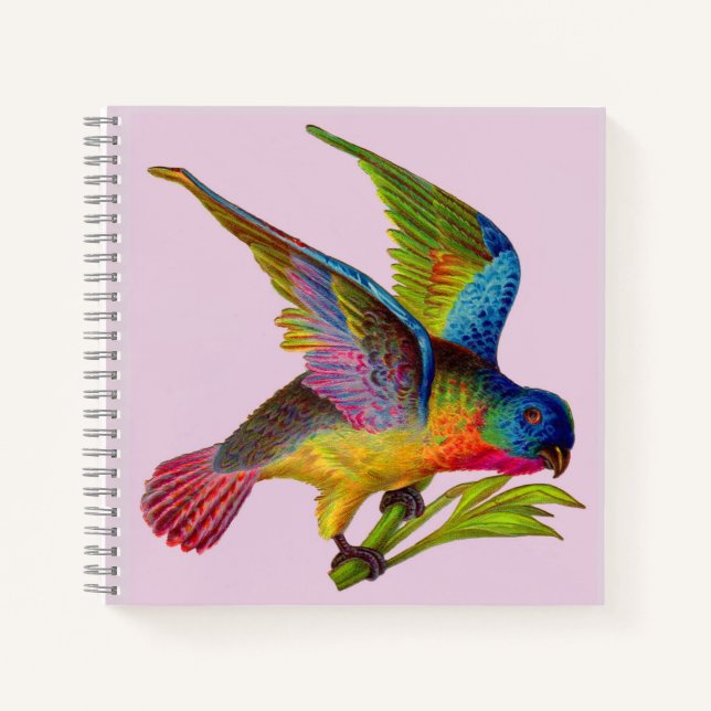 ultra colourful Victorian bird print Notebook (Front)