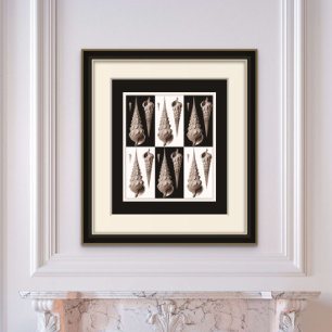Ultra Elegant Vintage Art Deco Sea Shell Poster