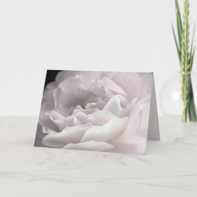 Ultra Pale Pink Rose Petals, Blank Greeting Card (Front)