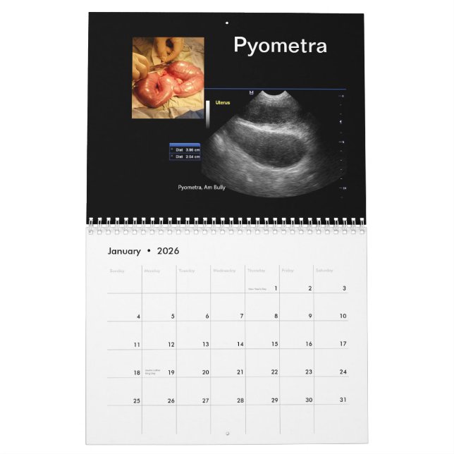 Ultrasound Images Calendar (Jan 2026)