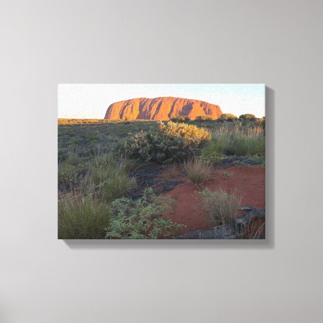 Uluru Sunrise and Desert Flora Canvas Print (Front)