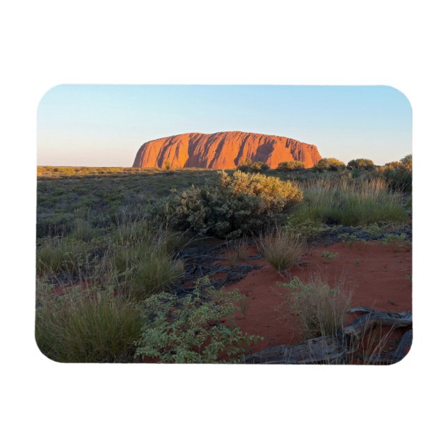 Uluru Sunrise and Desert Flora Magnet (Horizontal)