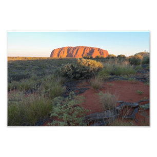 Uluru Sunrise and Desert Flora Photo Print