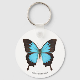 Ulysses Butterfly Key Ring