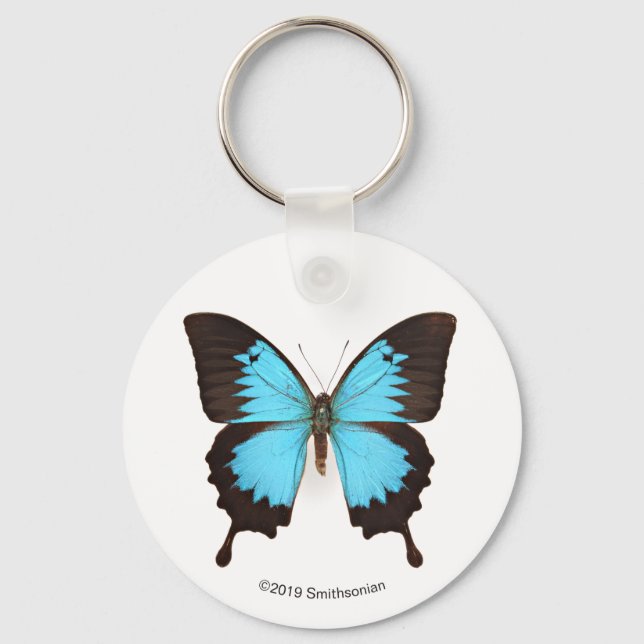 Ulysses Butterfly Key Ring (Front)