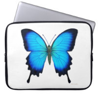 Ulysses Swallowtail Butterfly Electronics Bag