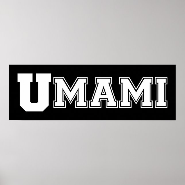 UMAMI COLLEGE POSTER (Front)