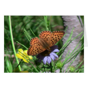 Umatilla Oregon  Insects / Arachnids Bugs Fauna