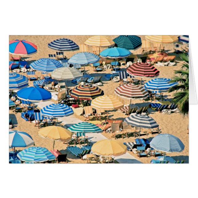 Umbrella 3 (Front Horizontal)