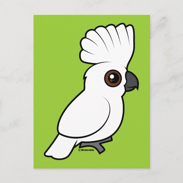 Umbrella Cockatoo (raised) Postcard (Front)