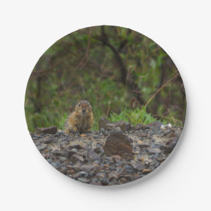 Umbrella Please Paper Plate