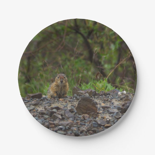 Umbrella Please Paper Plate (Front)