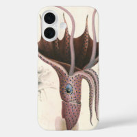 Umbrella Squid, Vintage Marine Life Animals