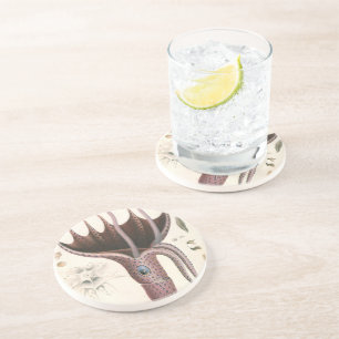 Umbrella Squid, Vintage Marine Life Animals Coaster