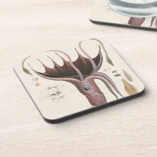 Umbrella Squid, Vintage Marine Life Animals Coaster