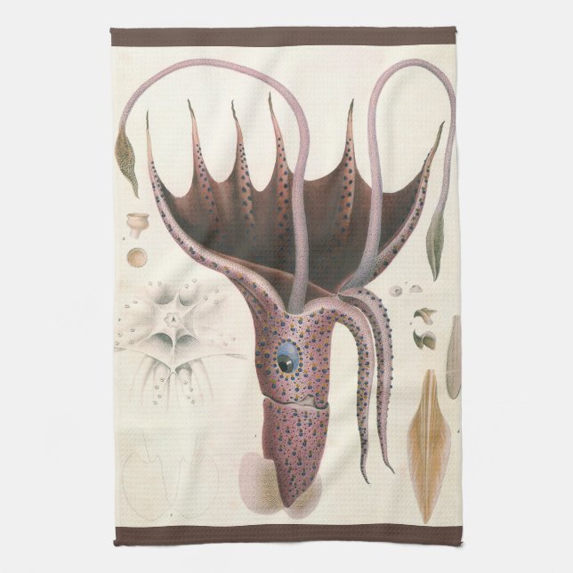 Umbrella Squid, Vintage Marine Life Animals Tea Towel (Vertical)