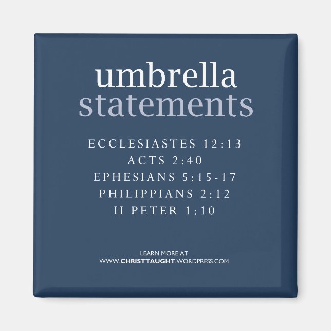 Umbrella Statements Magnet (Front)