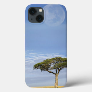 Umbrella Thorn Acacia, Acacia tortilis, and iPhone 13 Case