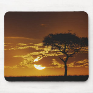 Umbrella Thorn Acacia, Acacia tortilis, Mouse Pad