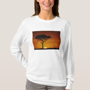 Umbrella Thorn Acacia, Acacia tortilis, T-Shirt