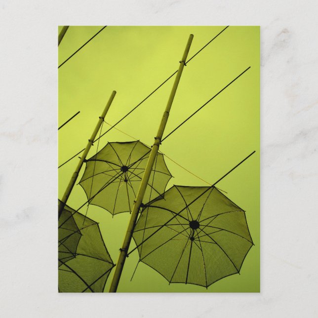 umbrellas postcard (Front)