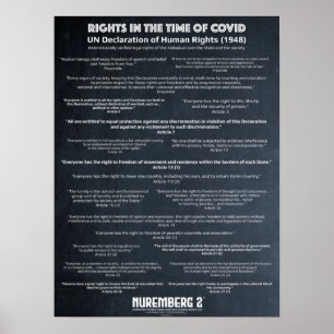 UN Declaration On Human Rights 1948 Small Poster