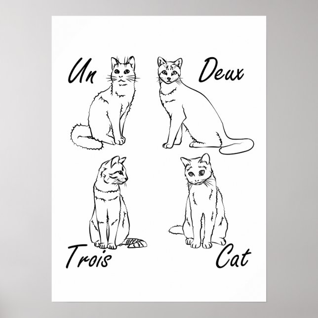 Un Deux Trois Cat Funny French Poster (Front)