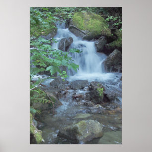 Un-named waterfall poster
