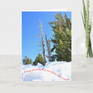 Una escena de invierno para la Navidad. Español.  Holiday Card