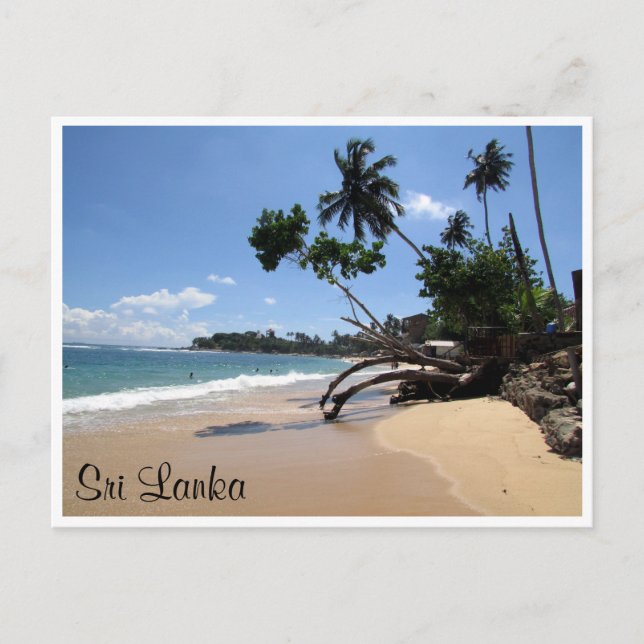 unawatuna beach tree postcard (Front)