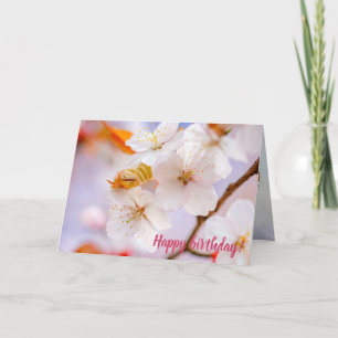 Unbelievable Beauty Of Sakura Flowers In Spring Card