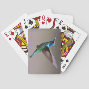 Unbelievably Beautiful and Colourful Hummingbird Playing Cards