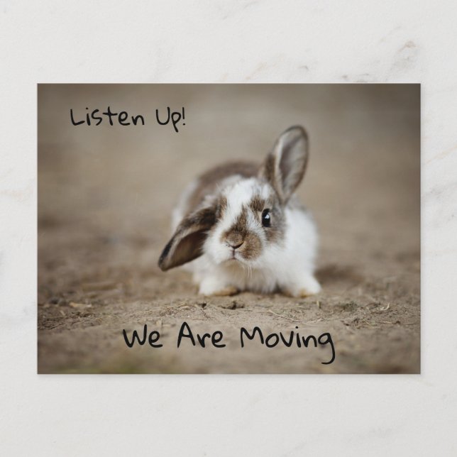 Unbelievably Cute Bunny Rabbit With Raised Ear Postcard (Front)