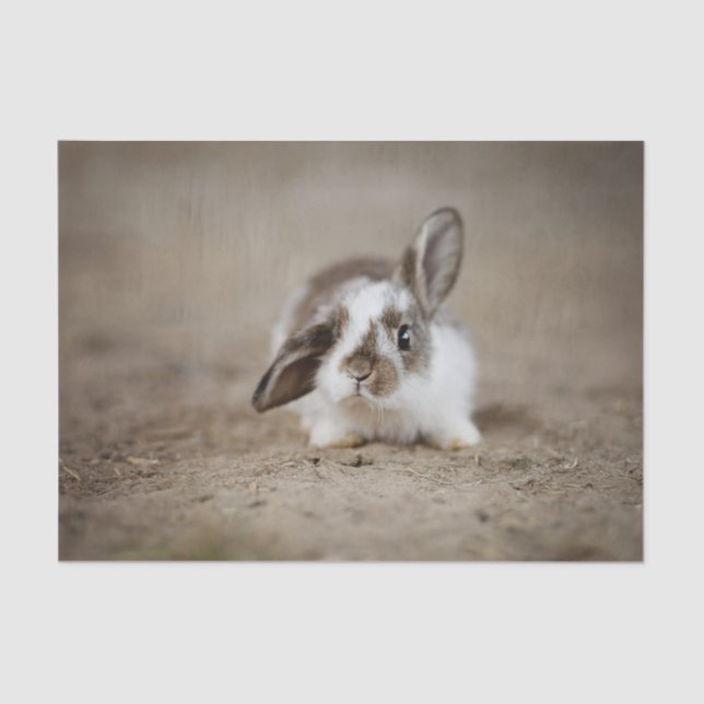 Unbelievably Cute Bunny Rabbit With Raised Ear Tissue Paper (Front)