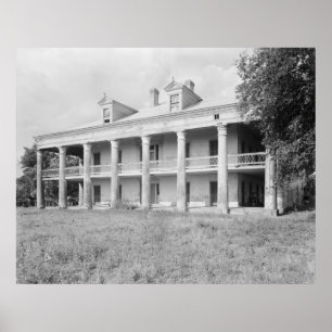 Uncle Sam Plantation Poster