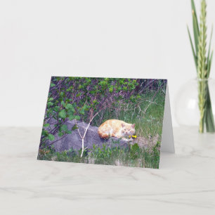 Unconditional Greeting Card