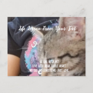 Unconditional Love Life Lesson from the Pet Holiday Postcard