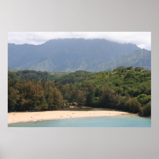 Uncrowded  Beach, Kauai, Hawaii Poster