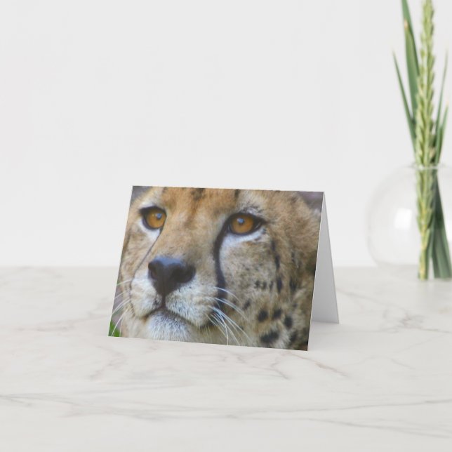 undefined card (Front)