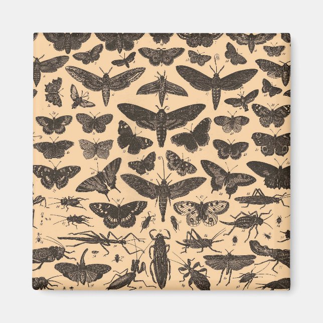 undefined magnet (Front)