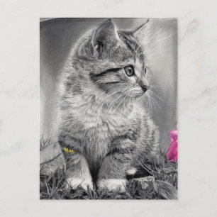 undefined postcard