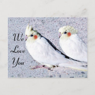 undefined postcard