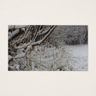 Under a Blanket of Snow