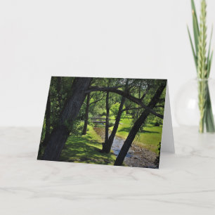Under a Canopy of Willows Card