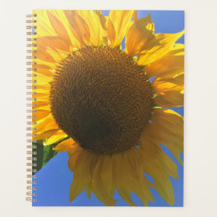 Under a Sunflower Planner