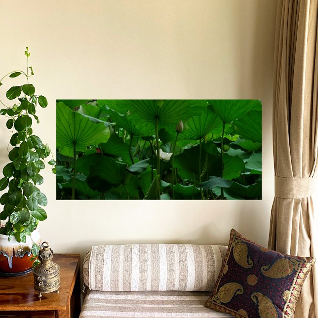 Under the Lotus Leaves Canvas Print (Creator Uploaded)